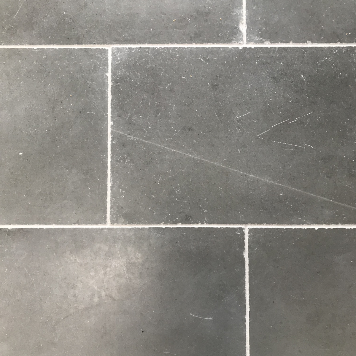Arctic Grey (1)