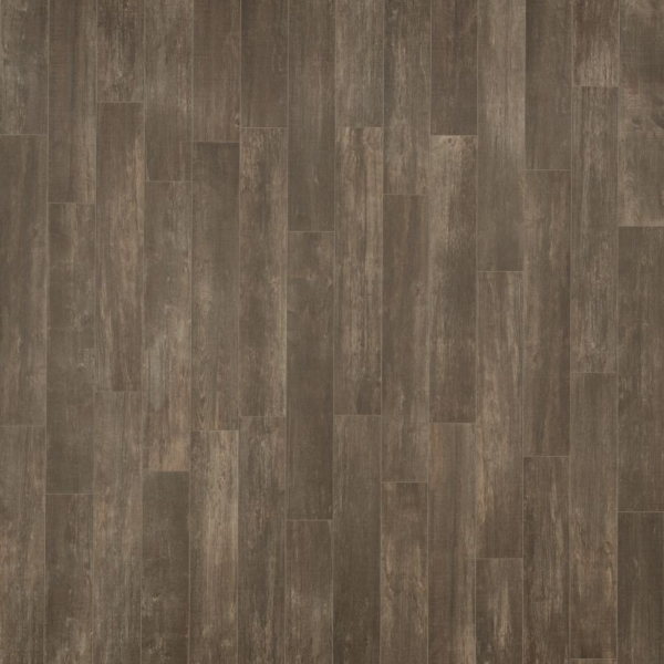 Cabane Bark