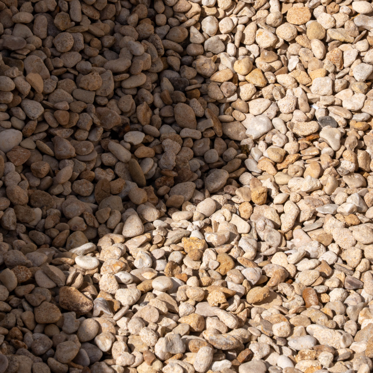 Cotswold Shale Image 2