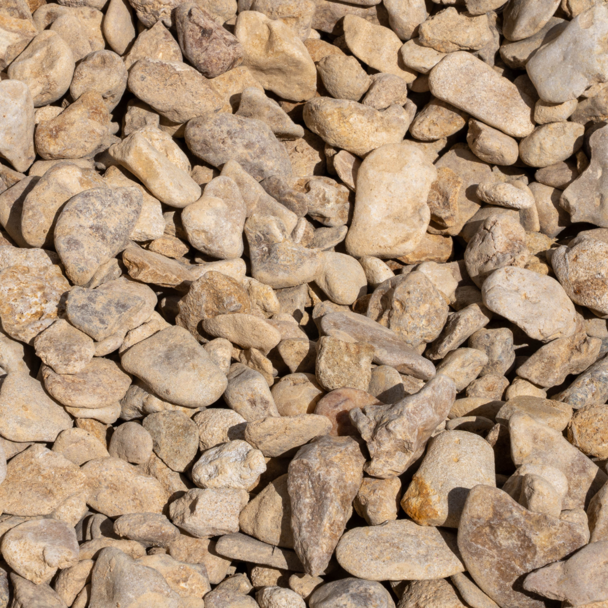 Cotswold Shale Image 1