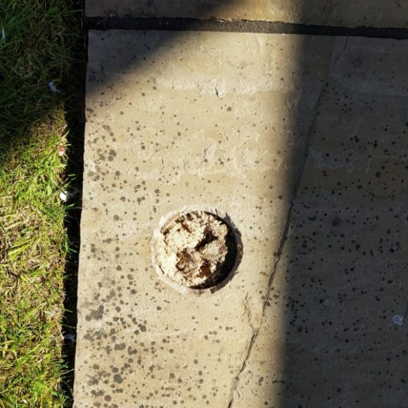 How do I remove black spot from my patio? Stoneworld Oxfordshire