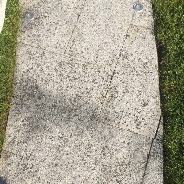 How do I remove black spot from my patio? - Stoneworld Oxfordshire