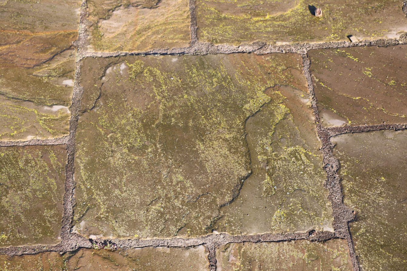 How do I remove Green Algae from my patio? Stoneworld Oxfordshire