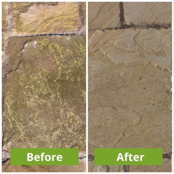 Algae before and after
