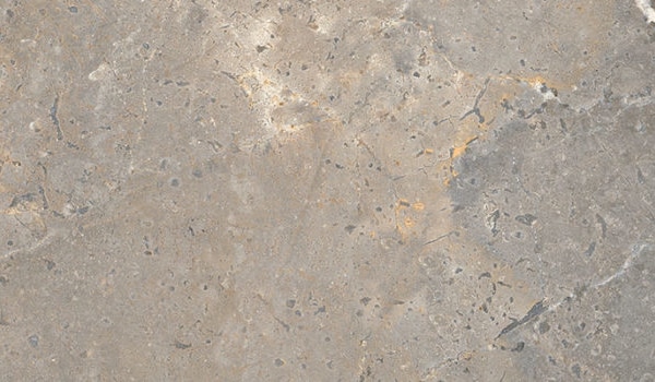 4424_n_LEA-anthology-earth-1-630×350