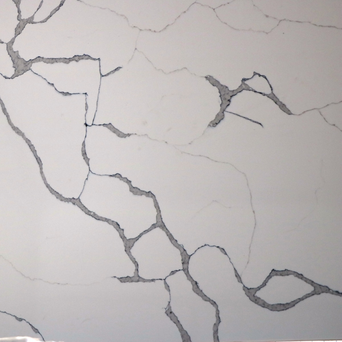 Statuata close up sample showing veining
