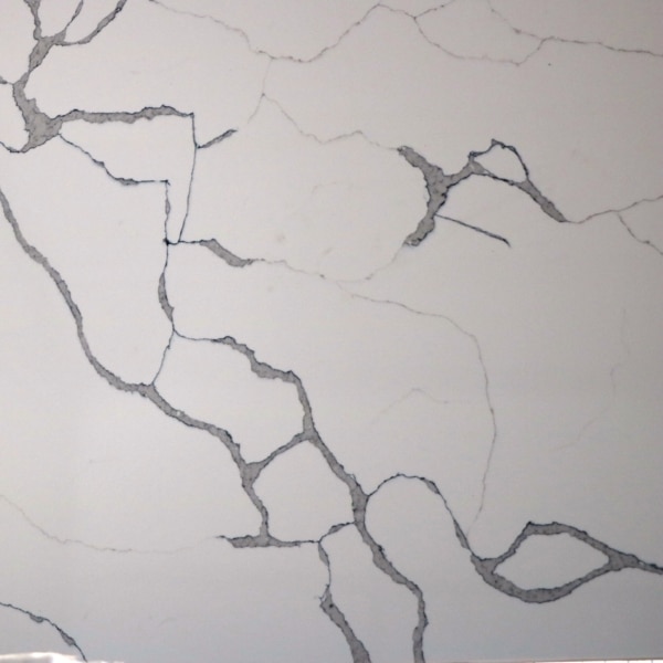 Statuata close up sample showing veining