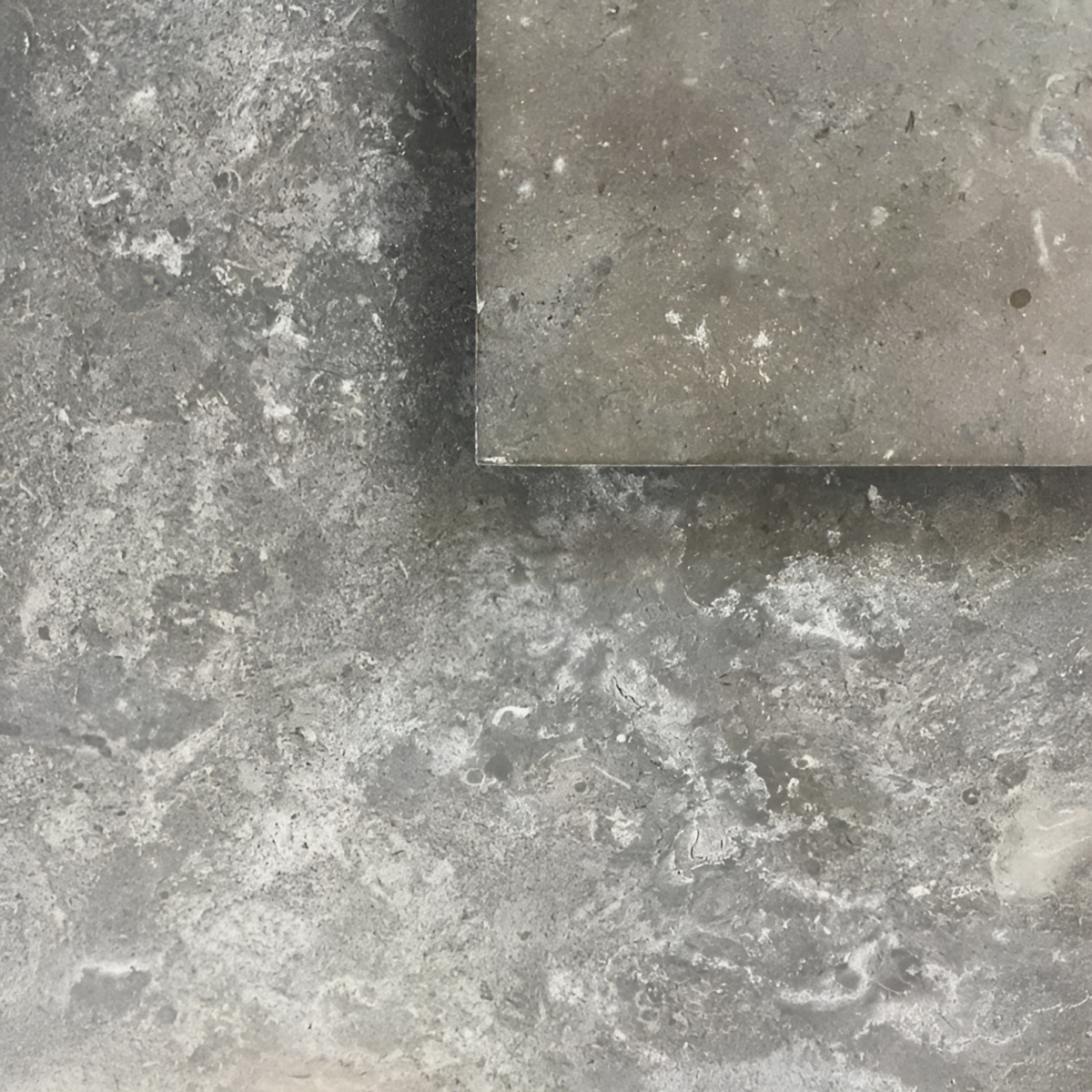 fortnum Limestone