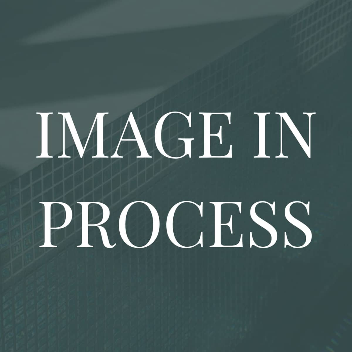 Image in process
