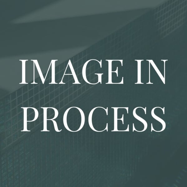 Image in process