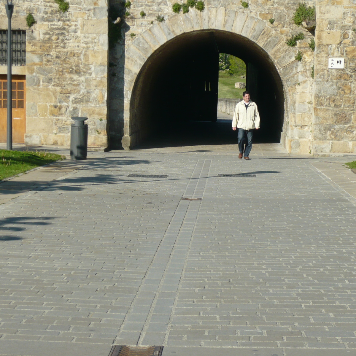 Blue_pyrenees 05