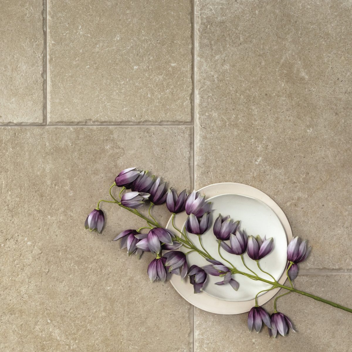 Clermont Beige Porcelain_Paving_04